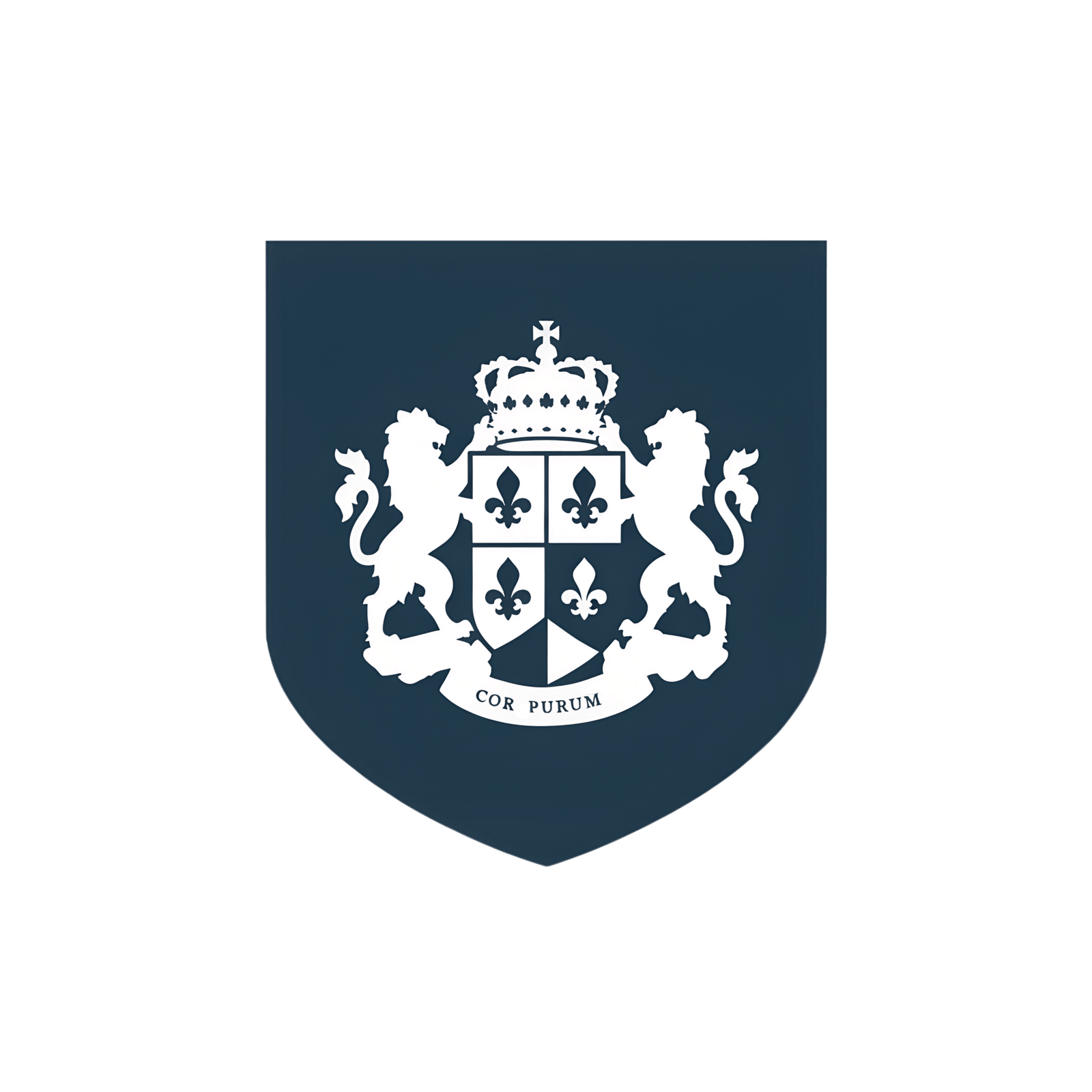 Acutis Firewall icon